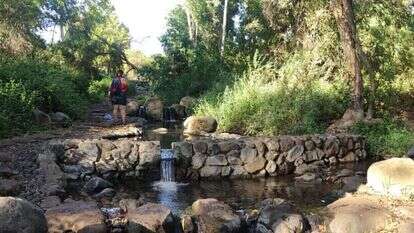 עינות סלוקיה. | צ'ק אין אאוט.