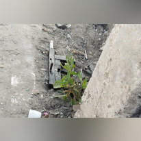 הנשק מסוג קרלו מאולתר ששימש את אחד המחבלים. | דובר צה"ל הנשק מסוג קרלו מאולתר ששימש את אחד המחבלים. | דובר צה"ל