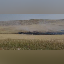 השרפה ליד חוות רימונים