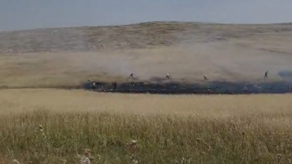 השרפה ליד חוות רימונים