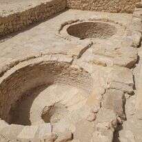 הגת בשבטה, | יוסי סיני, רשות הטבע והגנים