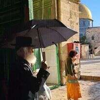 הרב יוסף אלבום בהר הבית, השבוע