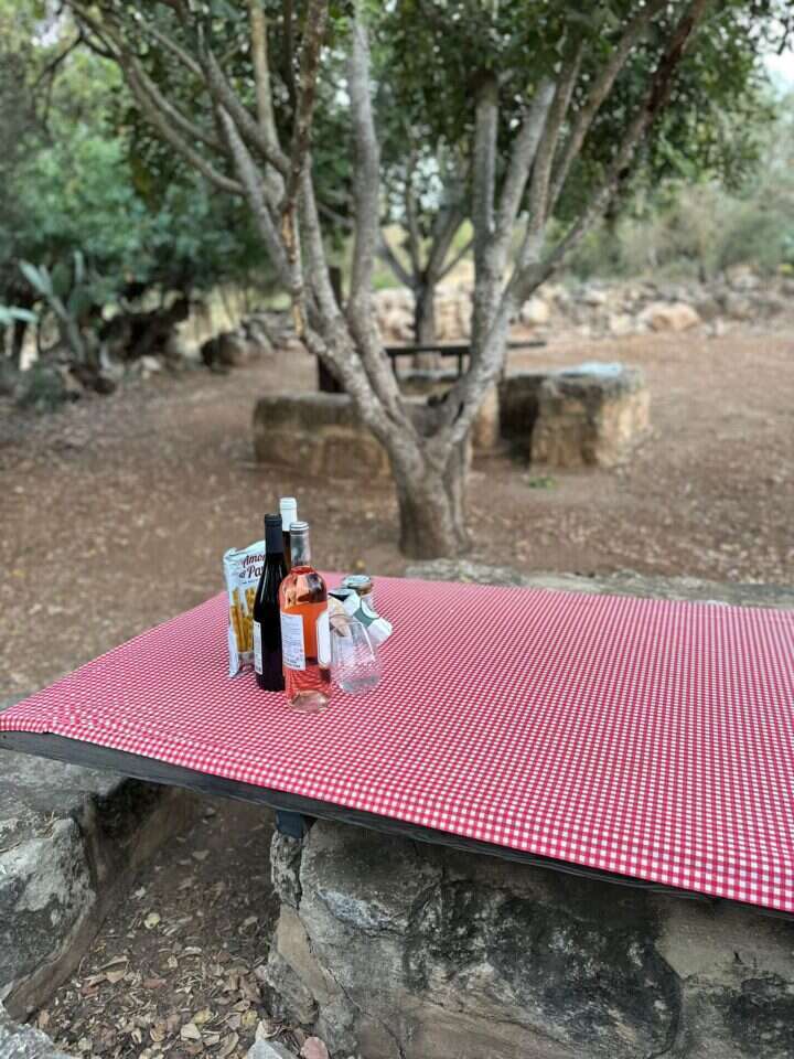 מתחם הפיקניק סמוך לחנות היין בבית גוברין, | תומר סרגוסטי רט"ג