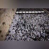 ברכת כהנים בכותל המערבי בירושלים. | חיים גולדברג, פלאש 90