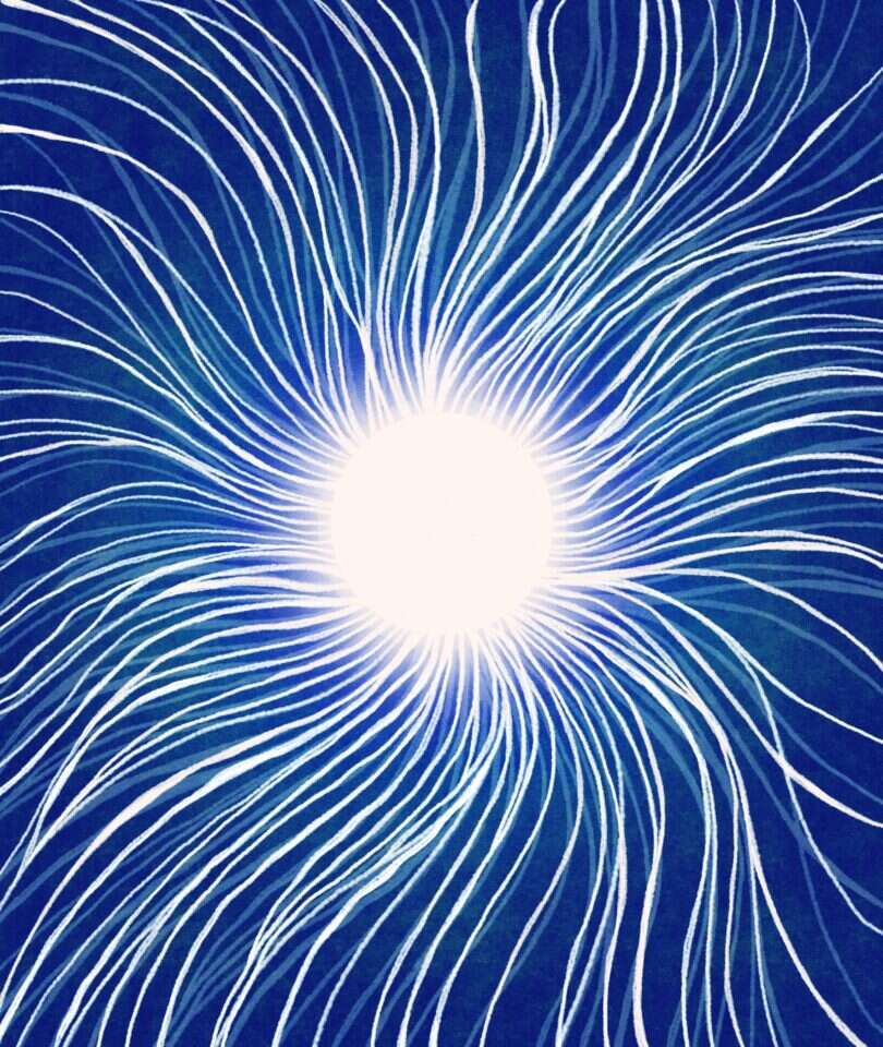 איור: שרון ארדיט