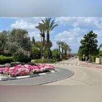 צרורות יריות וציוצי ציפורים. מבט מכיכר בבת־חפר אל שיפולי השומרון. | איילת כהנא