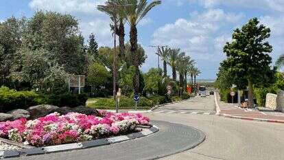 צרורות יריות וציוצי ציפורים. מבט מכיכר בבת־חפר אל שיפולי השומרון. | איילת כהנא