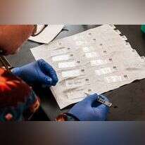 הצליחו לחדש ראייה שאבדה. עובדי סיינס במעבדה | קרולין פונג, וושינגטון פוסט