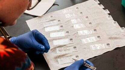 הצליחו לחדש ראייה שאבדה. עובדי סיינס במעבדה | קרולין פונג, וושינגטון פוסט