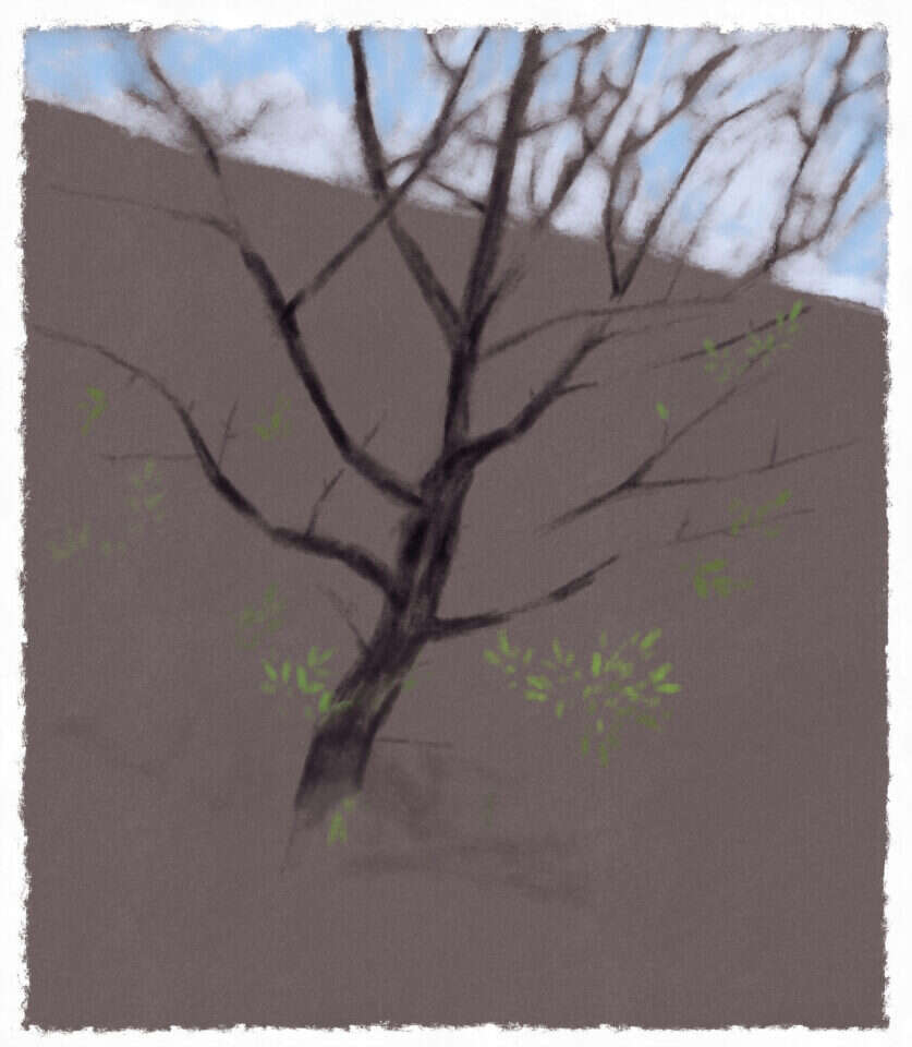 איור: מנחם הלברשטט