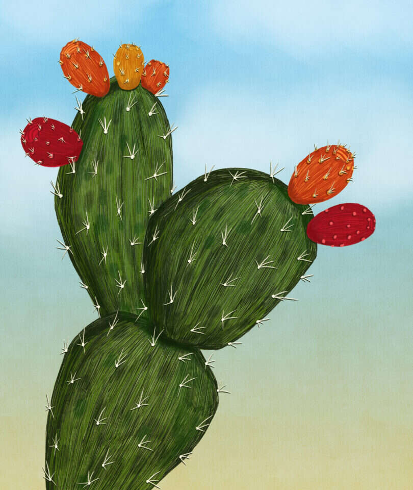 איור: שרון ארדיטי