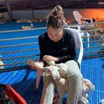 באדיבות "שועלות"