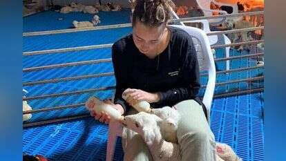 באדיבות "שועלות"