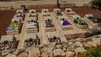 החלקה הצבאית. | נעמה שטרן החלקה הצבאית. | נעמה שטרן