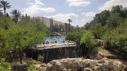 תל עמל, עמק המעיינות. | צ'ק אין אאוט