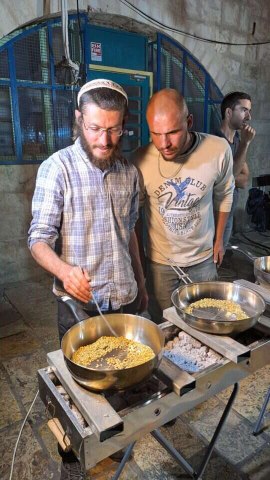 הגרעינים בשלב הקלייה. ללא קרדיט