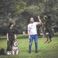 ורוניק ושמואל אברג, בעלי העסק "כוח הלהקה" - פנסיון ואילוף כלבים. | אריק סולטן