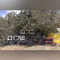 אליה בן־שימול, ברוריה קרני־הדס ואלי בן־דור. | יוסי אלוני