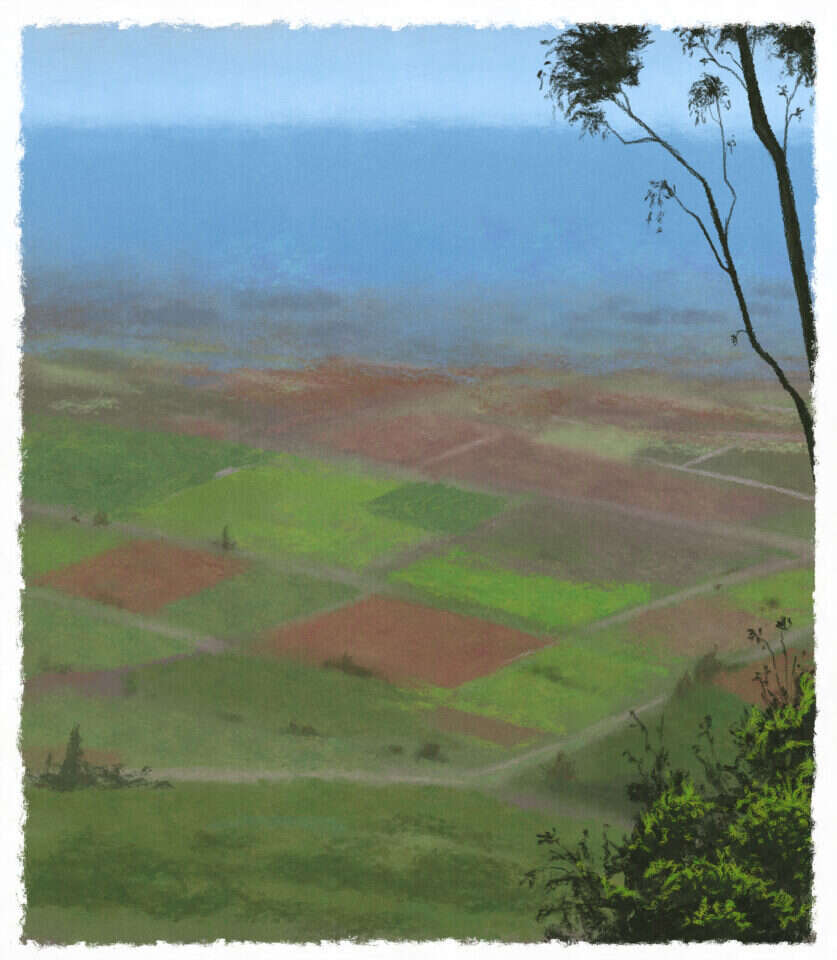 איור: מנחם הלברשטט