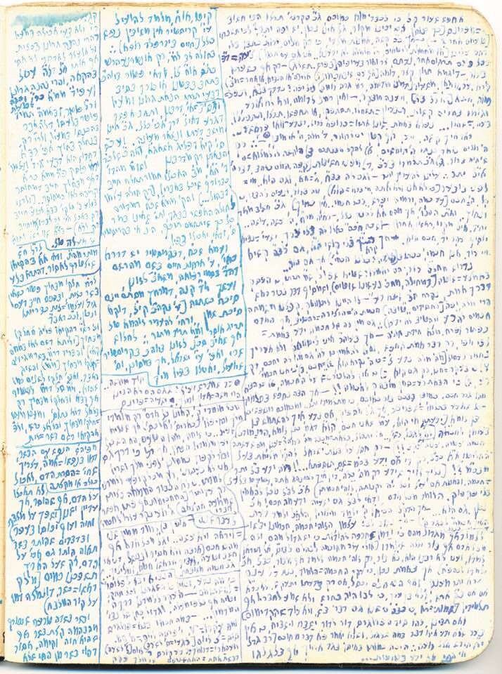 מתוך המחברות של מר שושני