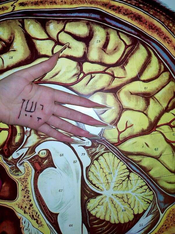 אלכס יונוביץ' אלכס יונוביץ'