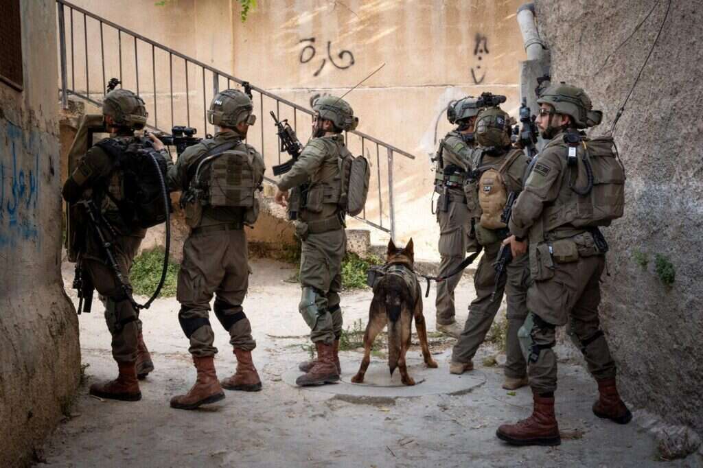 לוחמים בג'נין. | דובר צה"ל. למצולמים אין קשר לכתבה