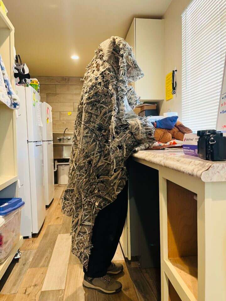 גורי השועלים. | הוושינגטון פוסט, Southwest Wildlife Conservation Center