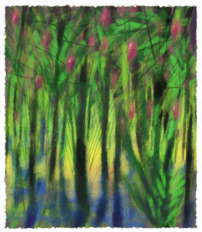 איור: מנחם הלברשטט