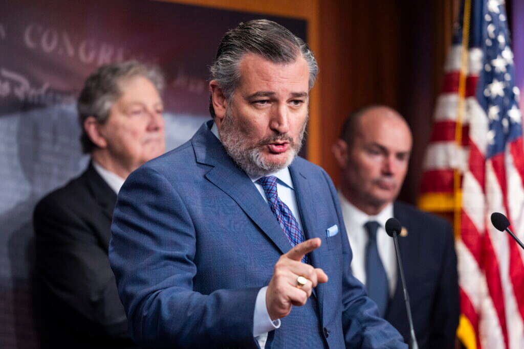 הסנאטור טד קרוז. | EPA הסנאטור טד קרוז. | EPA