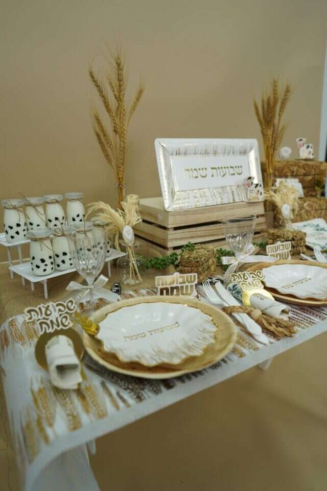 קולקצית שבועות סלבריישן קרדיט | זבוב קולקצית שבועות סלבריישן קרדיט | זבוב