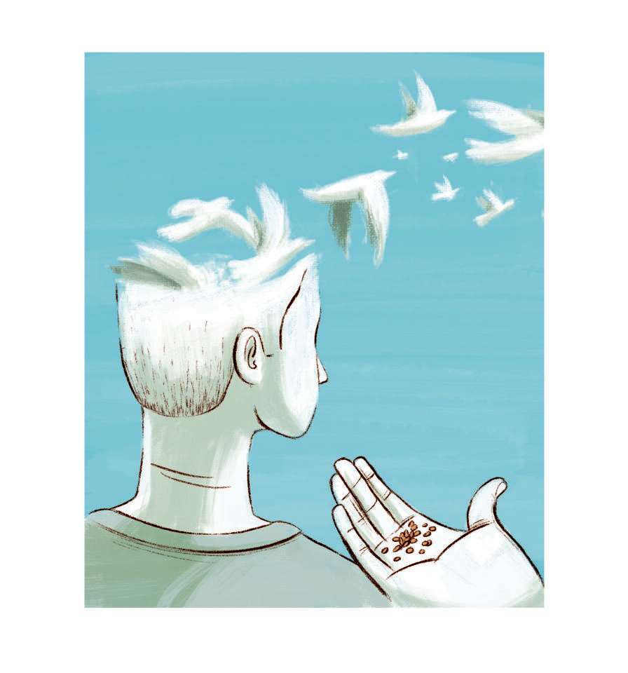 איור: מורן ברק