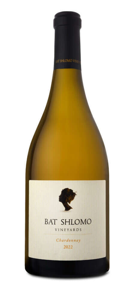 יח"צ יקבי כרמי בת–שלמה