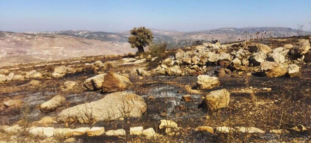 הצתה בהר כביר. קרדיט: שרה קורליק