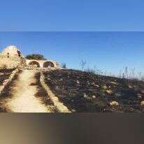 הצתה בהר כביר. קרדיט: שרה קורליק