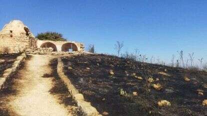 הצתה בהר כביר. קרדיט: שרה קורליק