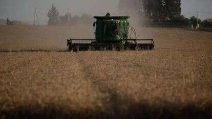 טקס ביכורים קיבוץ סעד לכבוד חג השבועות. | יהודה פרץ 17/5/2018