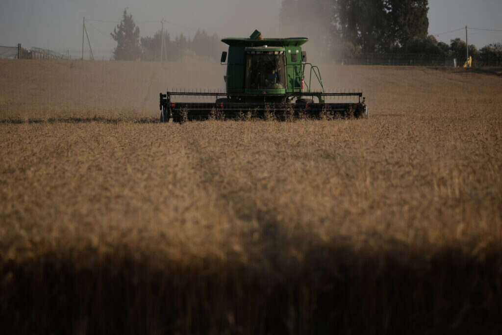 טקס ביכורים קיבוץ סעד לכבוד חג השבועות. | יהודה פרץ 17/5/2018