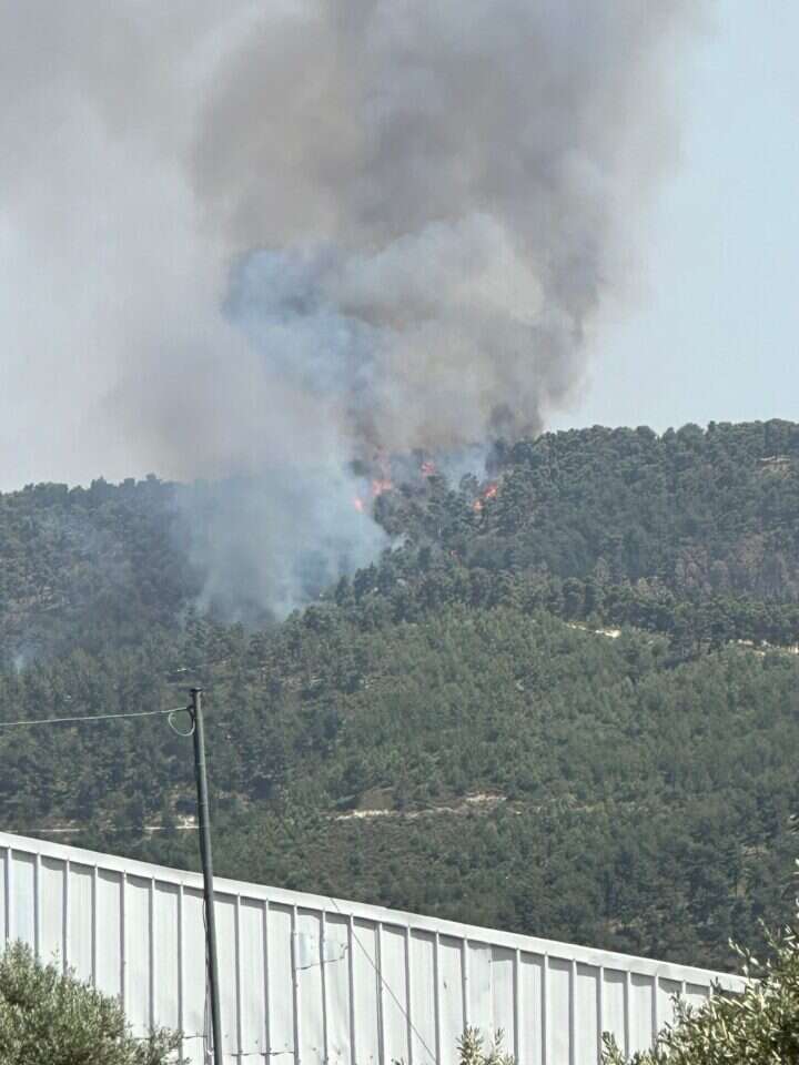 יער ביריה עולה באש כתוצאה מירי חיזבאללה. | כבאות והצלה לישראל, מחוז צפון