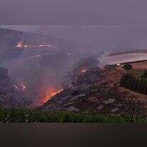 שריפה בנחל אביב שבגליל העליון, בעקבות ירי חיזבאללה. | רשות הטבע והגנים