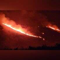 שריפה בנחל אביב שבגליל העליון, בעקבות ירי חיזבאללה. | רשות הטבע והגנים