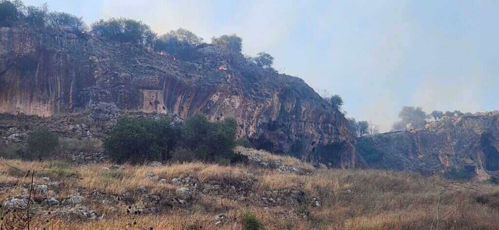 שריפה בנחל אביב שבגליל העליון, בעקבות ירי חיזבאללה. | רשות הטבע והגנים