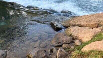נהר הירדן. | אורלי גולדקלנג