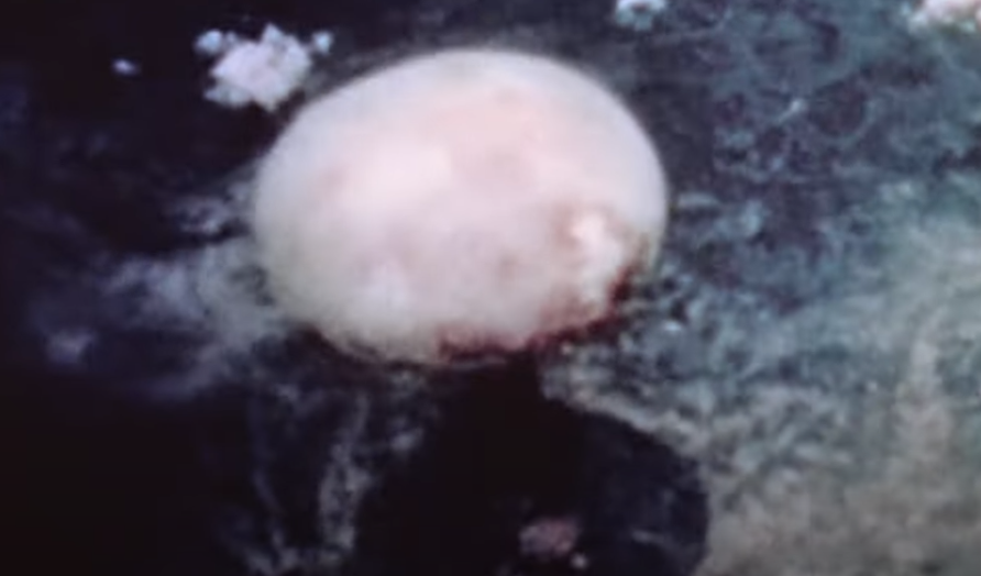 פטריית העשן מעל נגסקי לאחר הטלת פצצת האטום המבוססת פלוטונים "איש שמן". | מסך מיוטיוב