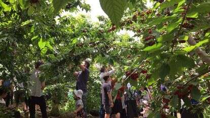 תיירות גוש עציון