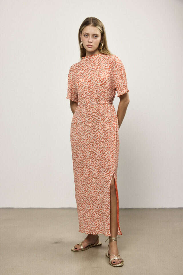 שדה בר. | ליאור קסון