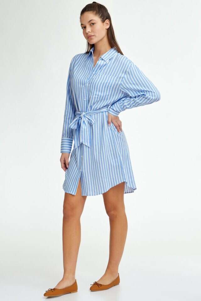 תמנון. | אמיר יהל