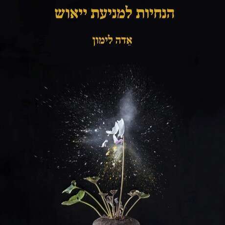 הנחיות למניעת ייאוש, אדה לימון | תרגום: מירב פיטון | קשב, 2023