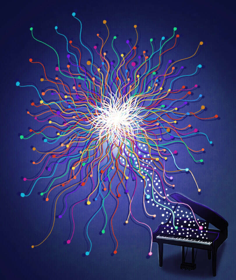 איור: שרון ארדיטי