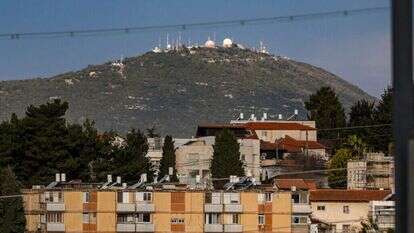 דוד כהן - ג'יני