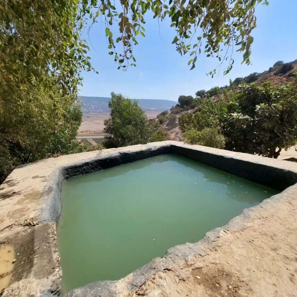 עין נטופה. | אורי מאור.